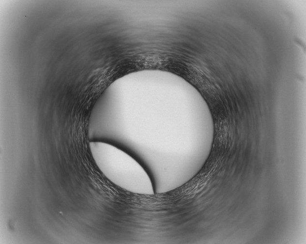 X0000095520962200712140906