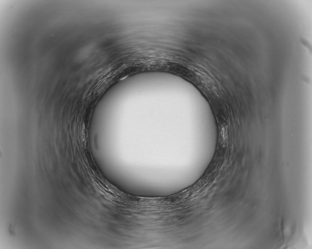X0000095520963200712140906