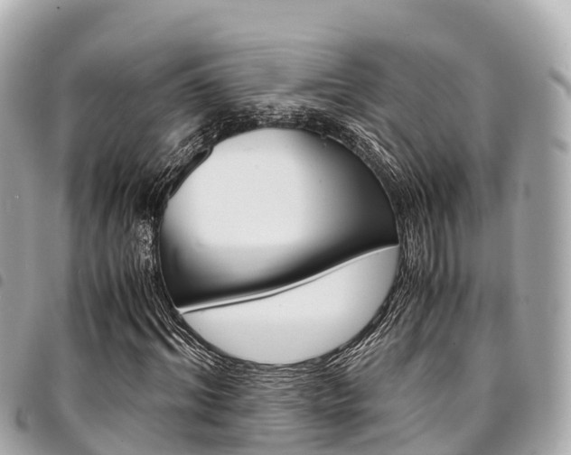 X0000095520964200712140906