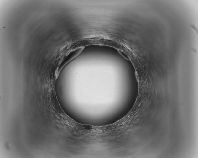 X0000095520965200712140905