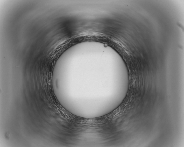 X0000095520966200712140905