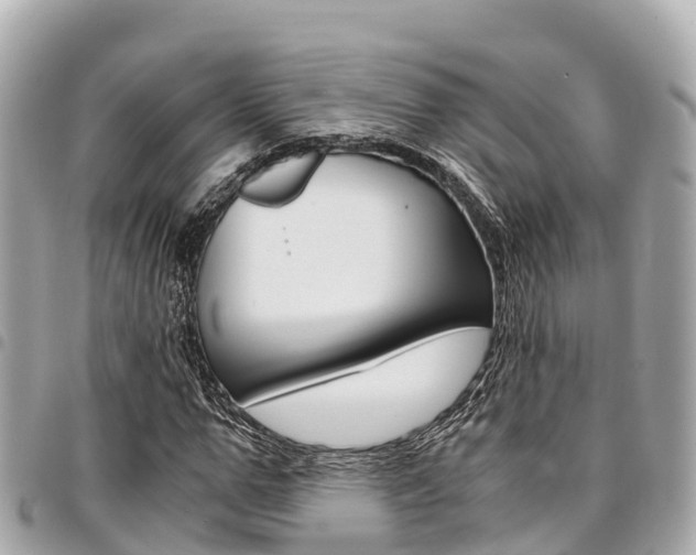 X0000095520967200712140905