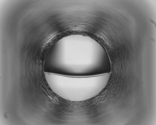 X0000095520968200712140905