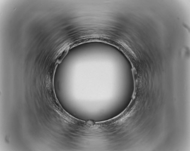 X0000095520969200712140905