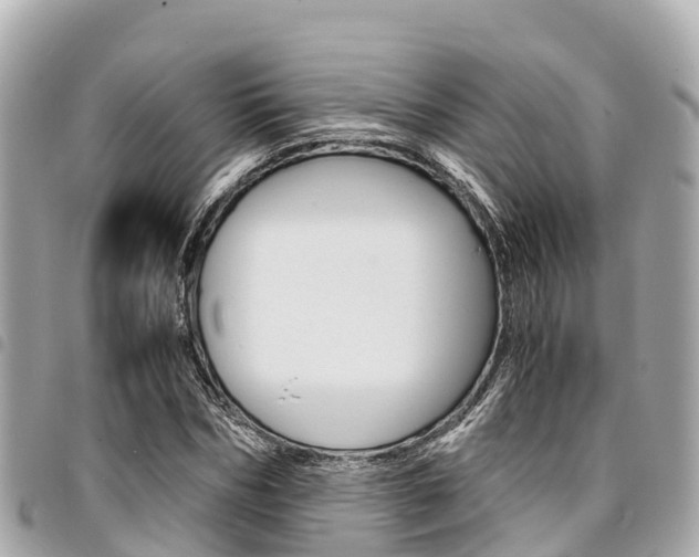 X0000095520970200712140905