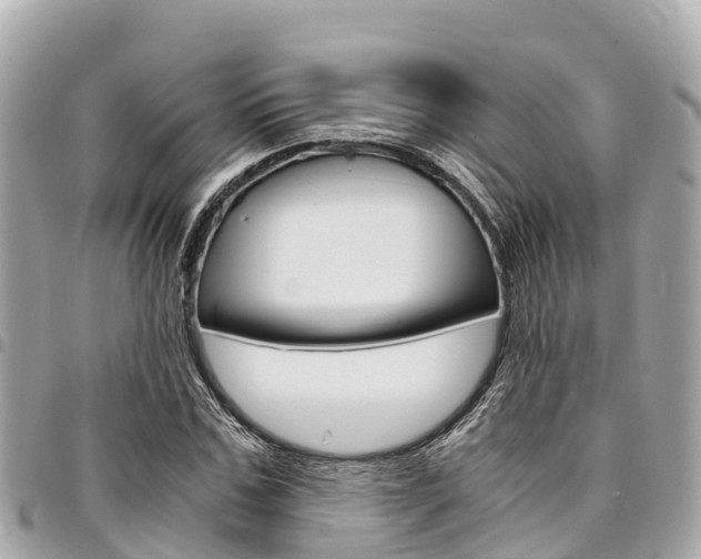 X0000095520971200712140905
