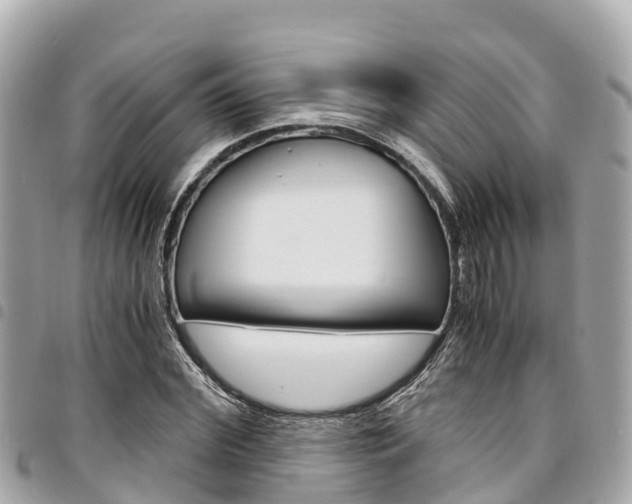 X0000095520972200712140905