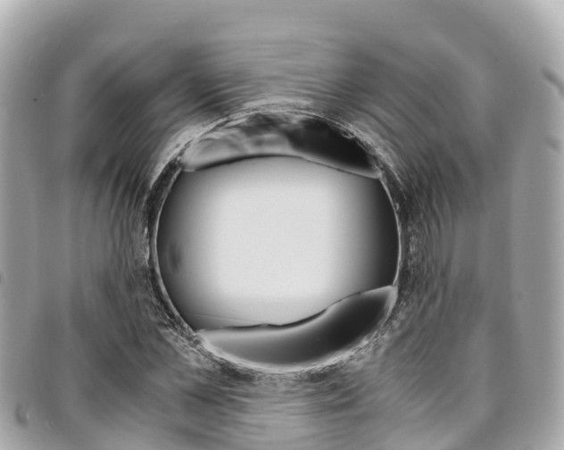 X0000095520973200712140905