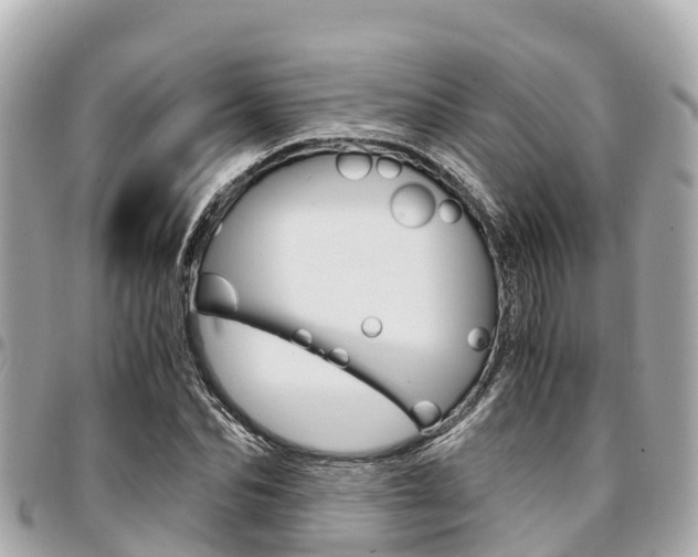 X0000095520974200712140905