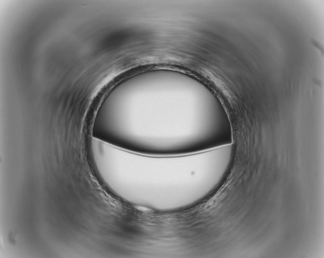 X0000095520975200712140905