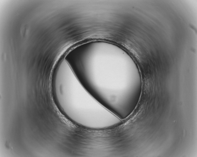 X0000095520976200712140905