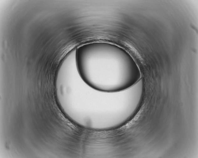X0000095520977200712140905