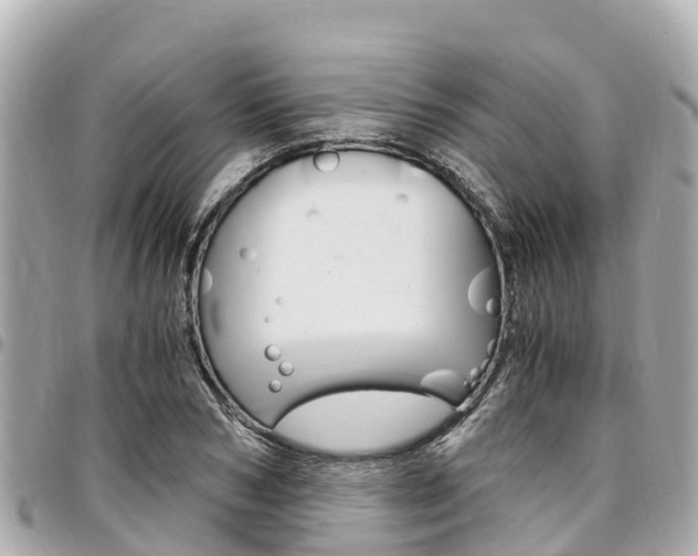 X0000095520978200712140905