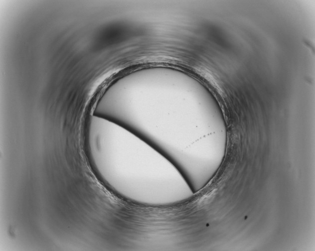 X0000095520979200712140905