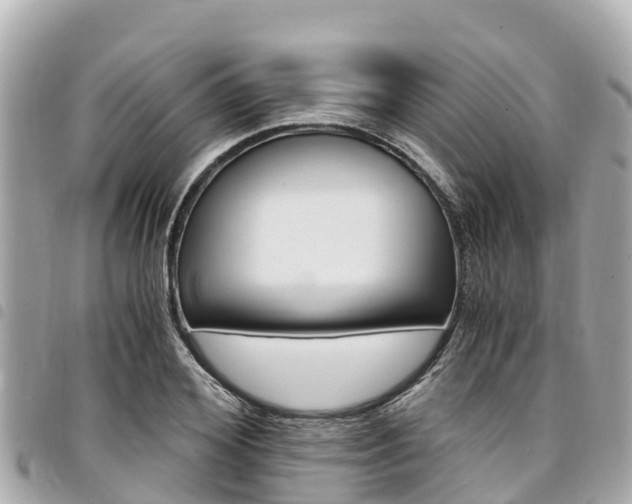 X0000095520980200712140905