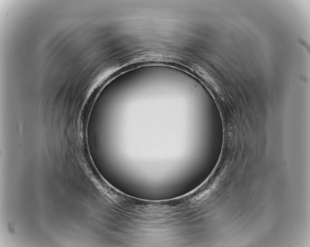 X0000095520981200712140905