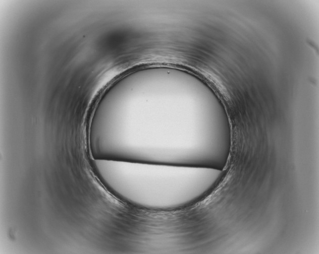 X0000095520982200712140905