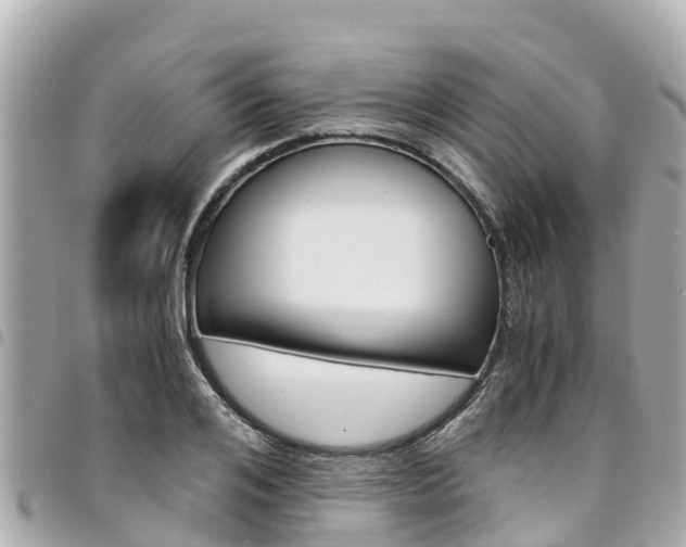 X0000095520984200712140905