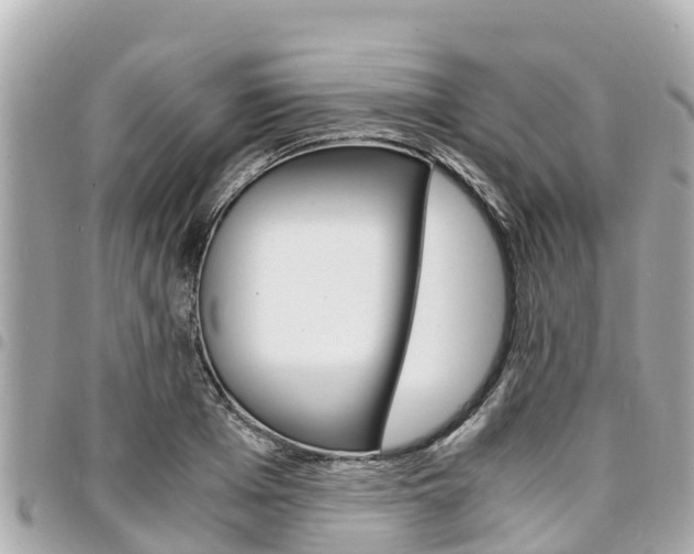 X0000095520985200712140905