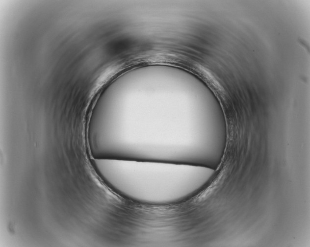 X0000095520986200712140905