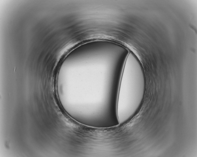 X0000095520987200712140905