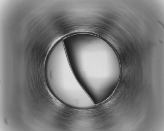 X0000095520988200712140905