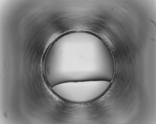 X0000095520990200712140905