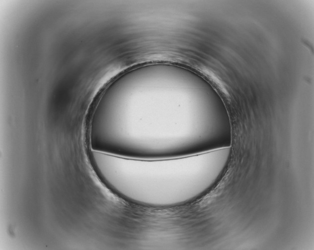 X0000095520991200712140905
