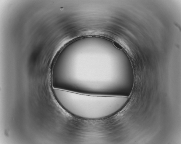 X0000095520992200712140905