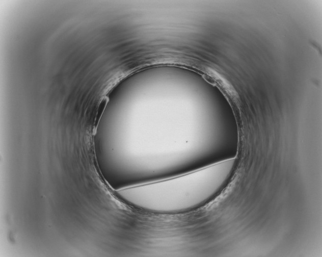 X0000095520993200712140905