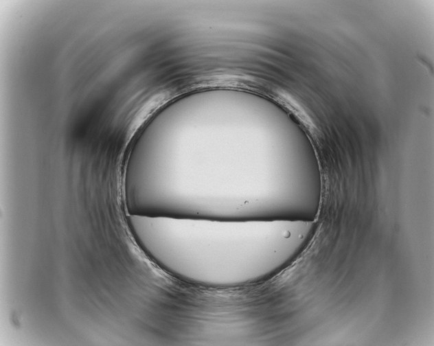 X0000095520994200712140905