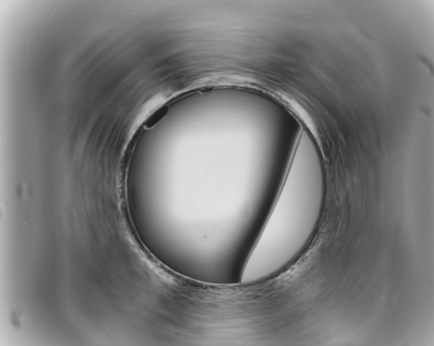 X0000095520997200712140905
