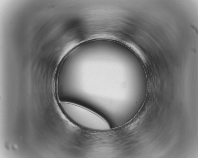 X0000095520999200712140905