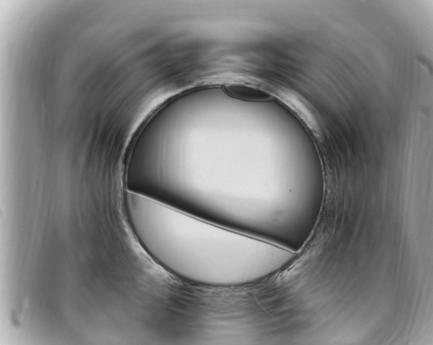 X0000095521000200712140905