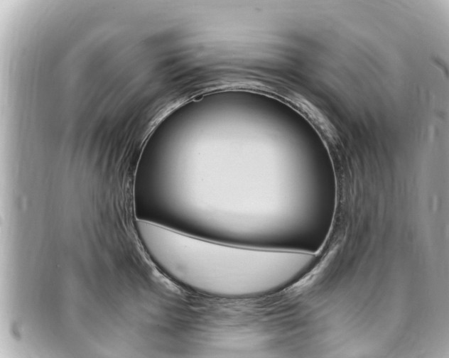 X0000095521001200712140905