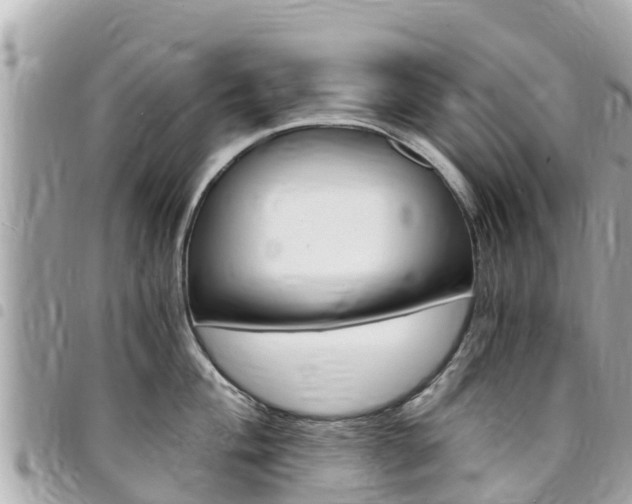 X0000095521004200712140905