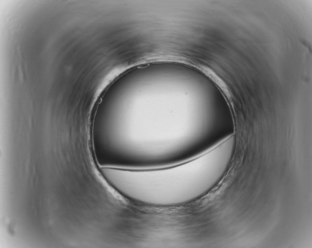 X0000095521005200712140905