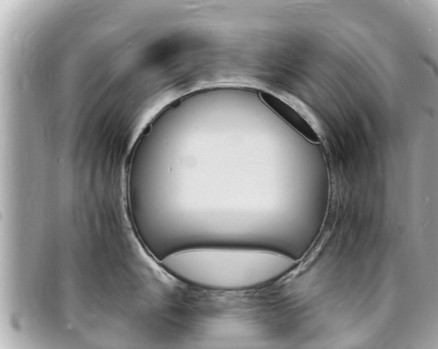 X0000095521006200712140905