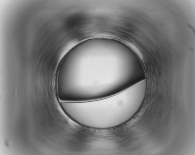 X0000095521007200712140905