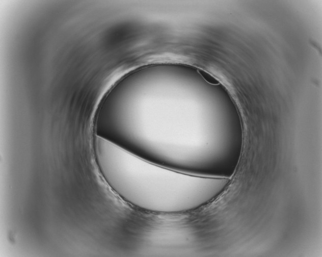 X0000095521008200712140905