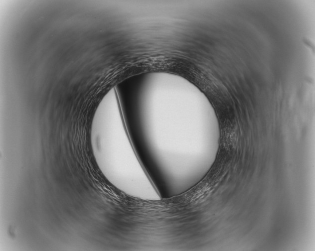 X0000095521010200712140904