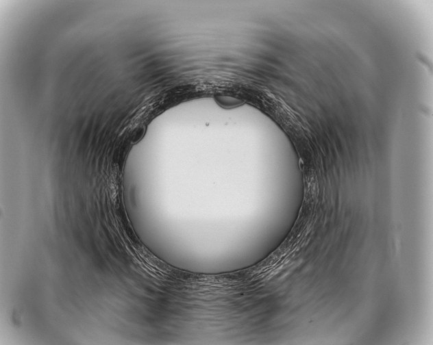 X0000095521012200712140904