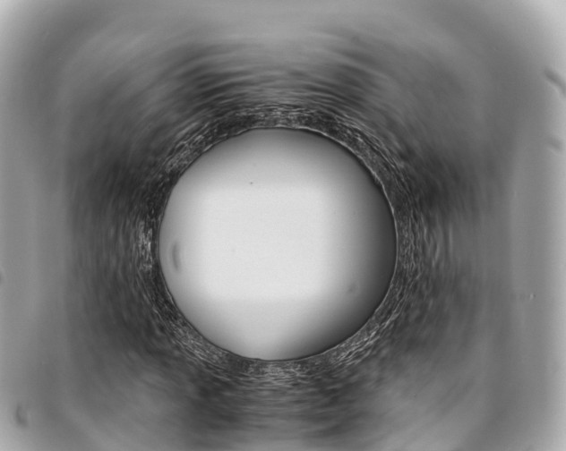 X0000095521013200712140904