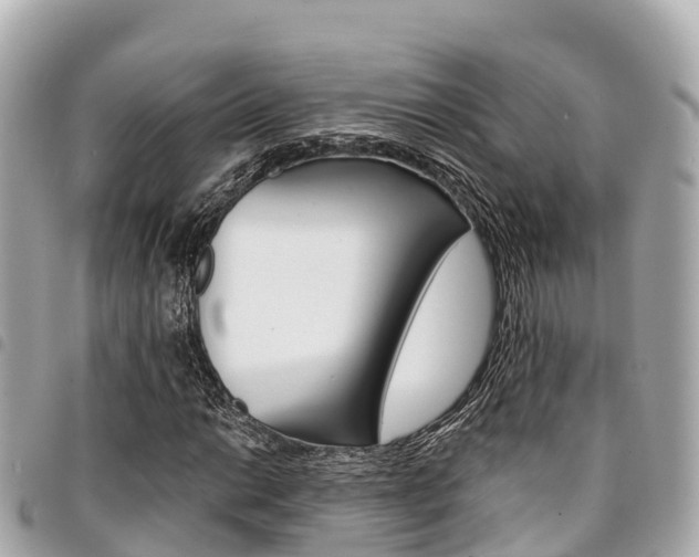 X0000095521014200712140904