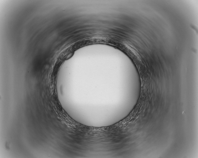 X0000095521015200712140904