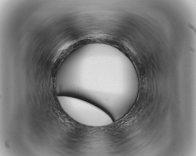 X0000095521016200712140904