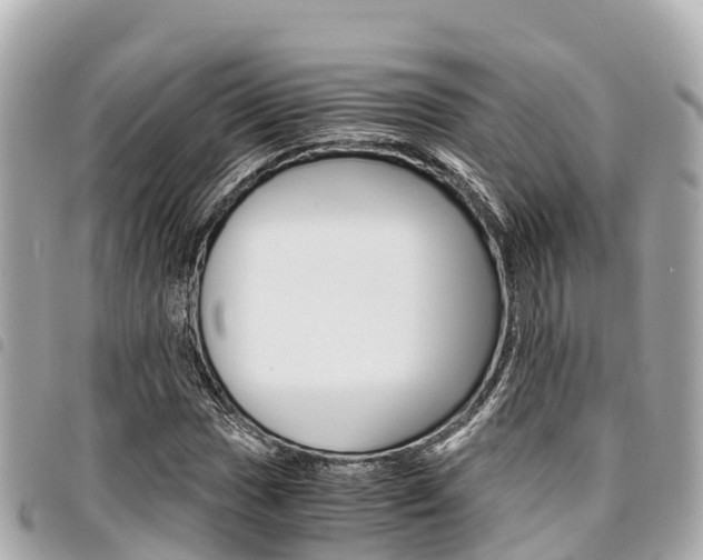 X0000095521017200712140904