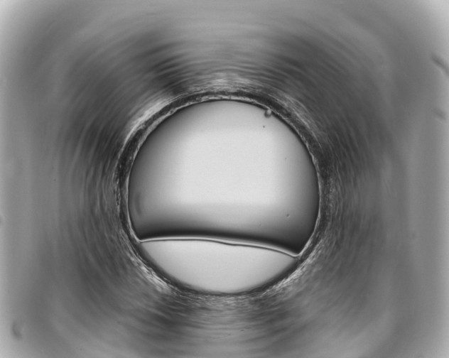 X0000095521018200712140904