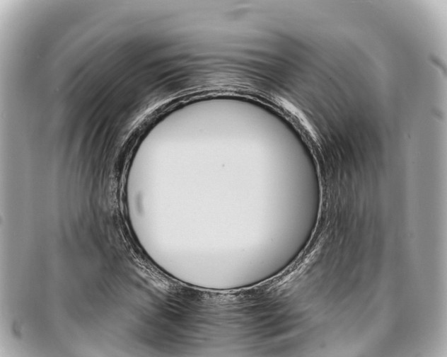 X0000095521019200712140904