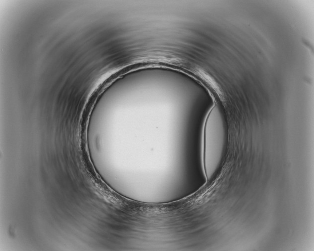X0000095521020200712140904